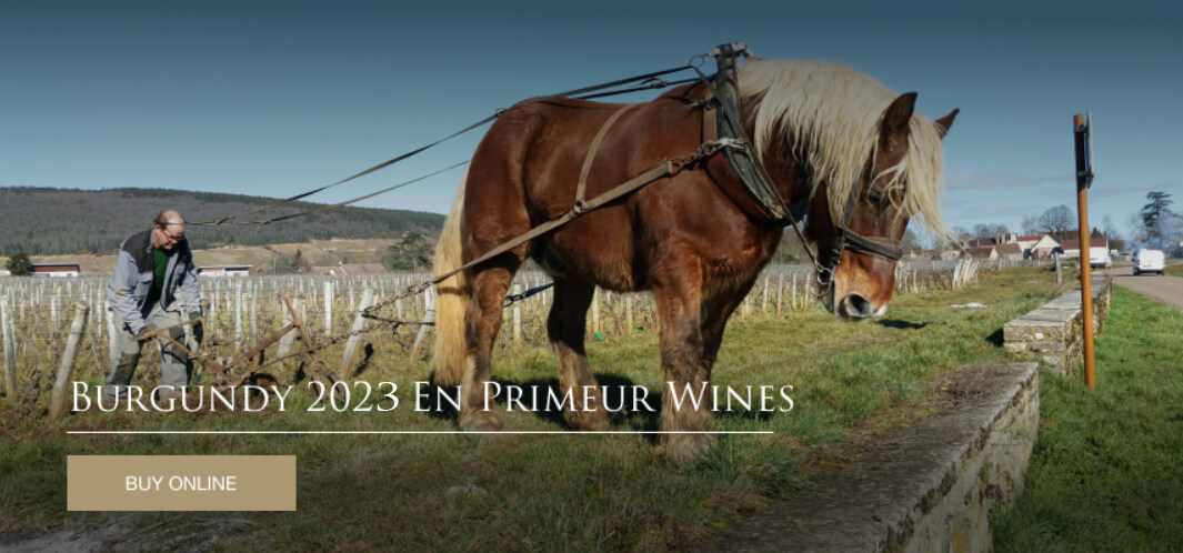 Burgundy 2023 En Primeur